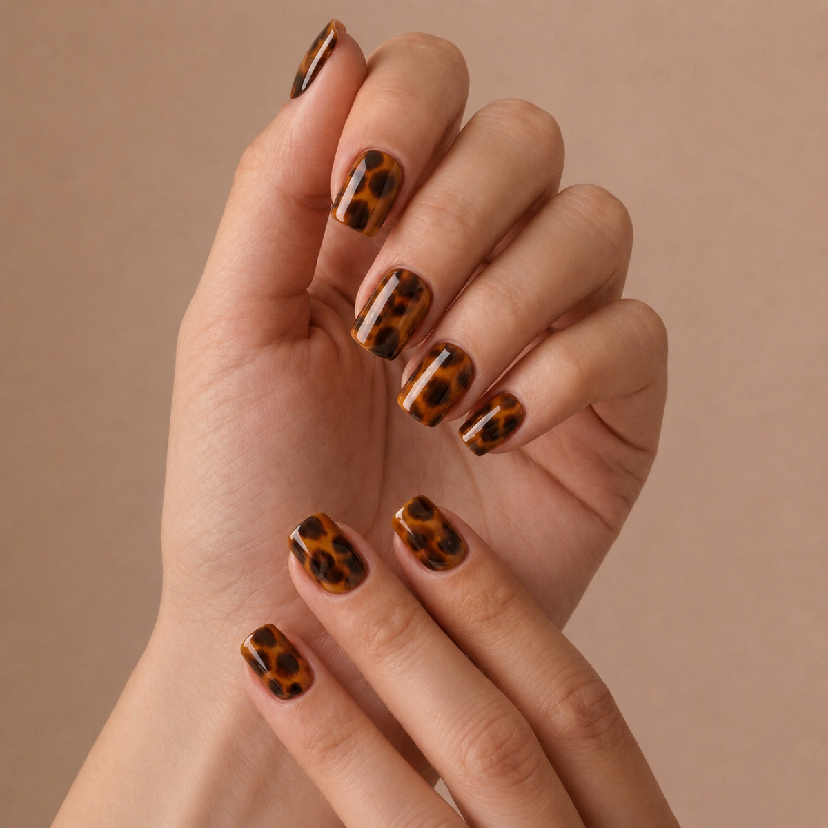 Amber Tortoise