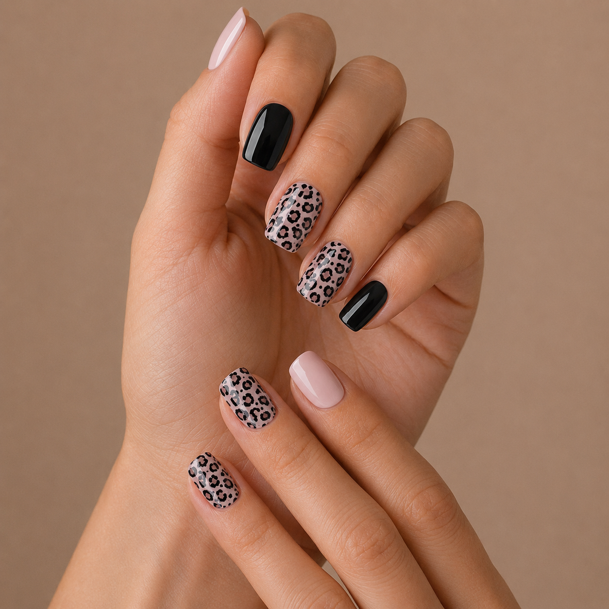 Midnight Leopard